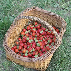 En stage à Bouxurulles et ailleurs