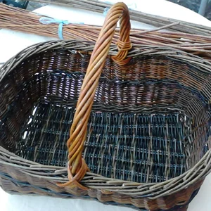 En stage à Bouxurulles et ailleurs - Image 2