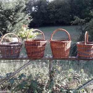 En stage à Bouxurulles et ailleurs - Image 5