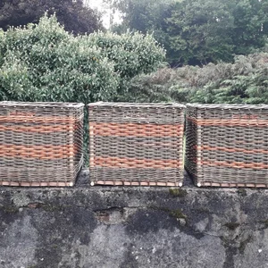 Les créations 2023 - Image 16