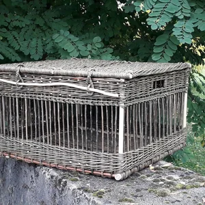 Les créations 2023 - Image 18