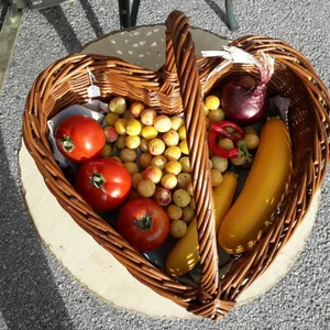 Les créations 2023 - Image 2